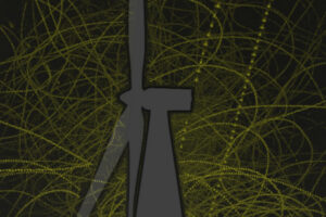 Bowman wins bat conservation study