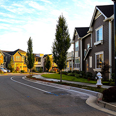 Row of single-family houses on a quiet suburban street with lawns and trees.