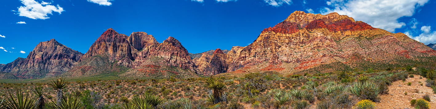 Nevada Featured Story Banner